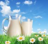 Классификация питьевого пастеризованного молока